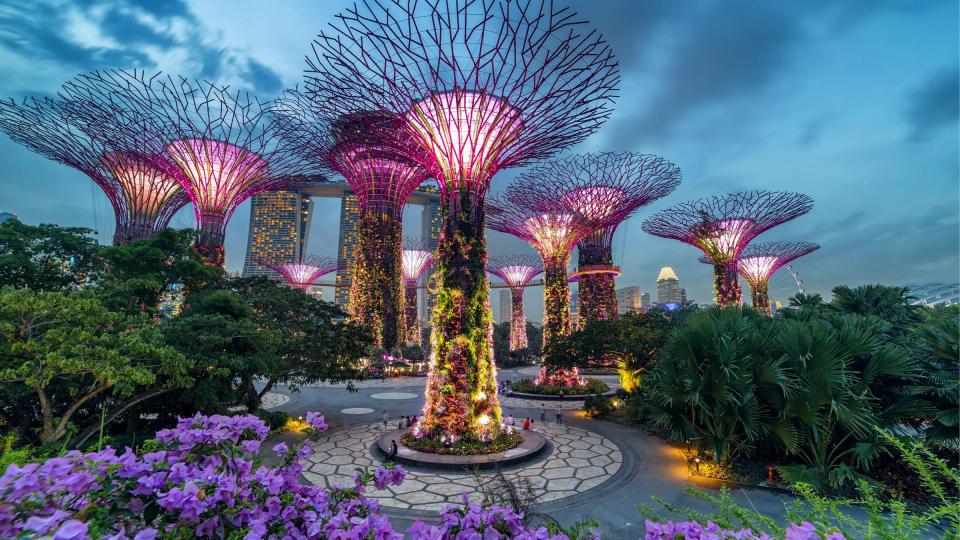 海濱花園夜景
星加坡海濱花園的巨樹亮了燈加添夜景不少熱鬧氣氛。...