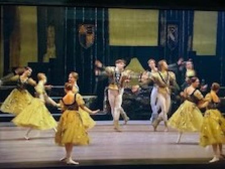 世界芭蕾舞團排行榜
互聯網上最新資料顯示現今世界七大芭蕾舞團，排名如下：
第一名：法2113國巴黎歌劇院芭蕾舞團5261
第二名：俄羅斯聖彼得堡基洛夫芭蕾舞團4102
第三名：莫斯科1653大劇院芭蕾...