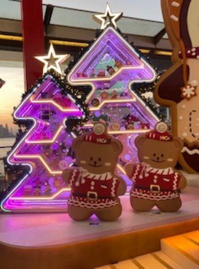 聖誕飾物
聖誕樹和熊仔始終是小朋友最喜歡的聖誕飾物，亮起燈時特別美麗。...