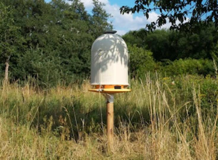 3D 蜂巢
蜜蜂除了製造花蜜，對生態環境還扮演重要角色，沒有牠們協助傳播花粉，很多植物都會受到影響。不過當蜜蜂數量下跌時，德國團隊就用 3D 打印技術製作蜂巢，嘗試去保育蜜蜂。...