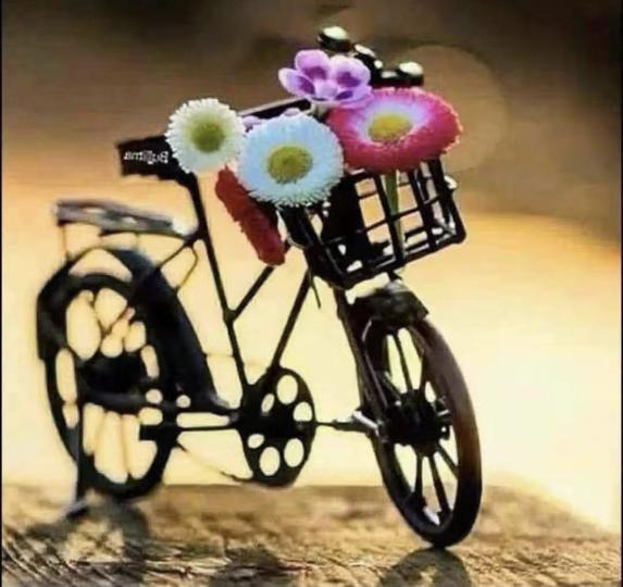 這黑色的單車很平凡，但放上幾朵彩花，效果不平凡，浪漫又詩意。...