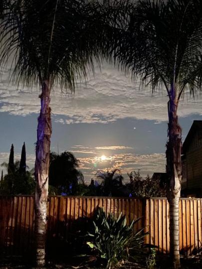 月亮

美國加州的月亮是否特別明亮？...