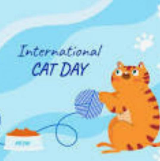 國際貓日

今天8月8日是「國際貓日」，紀念日由國際愛護動物基金會於2002年制訂，旨在提倡用愛心對待貓咪。...