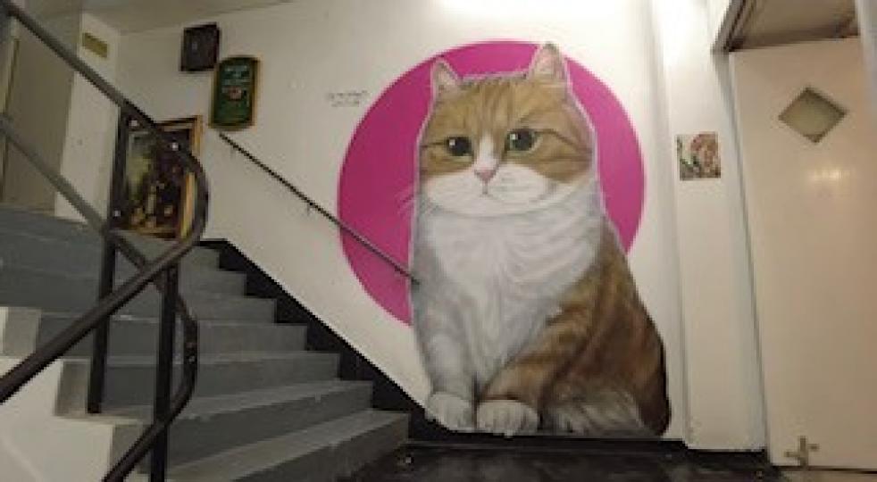 俄國藝術家最新作品，網民稱「官塘貓」，因在觀塘可以看見。...