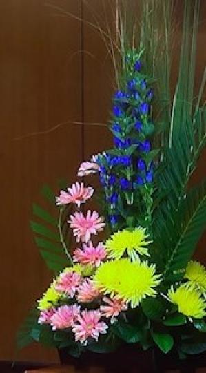 教壇擺設

每週教會講壇上的鮮花擺設都很特別。...