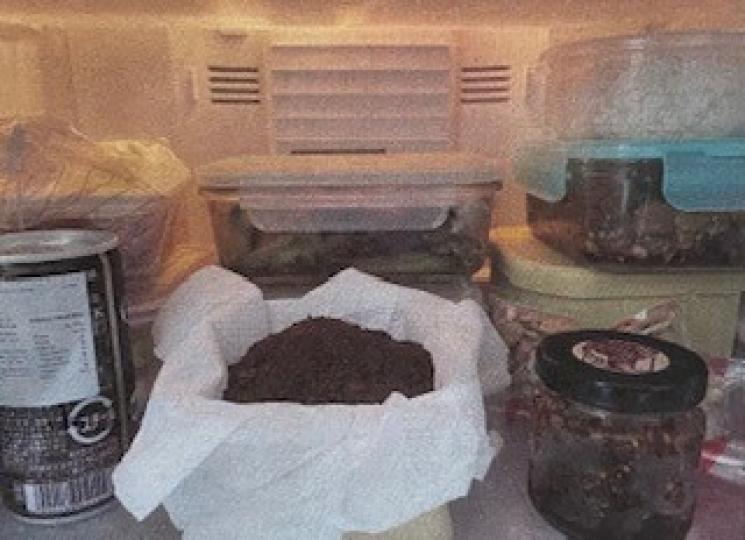咖啡渣
我喜歡環保,物盡其用,早餐享用完即磨咖啡後,咖啡渣可以放碗中,直接放入雪櫃吸臭味,如檸檬吸味一樣。... 咖啡渣
我喜歡環保,物盡其用,早餐享用完即磨咖啡後,咖啡渣可以放碗中,直接放入雪櫃吸臭味,如檸檬吸味一樣。...