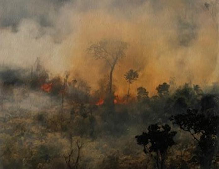 森林大火

若政府偏袒企業，以發展凌駕保育做成森林大火，影響牧場和農業，間接影響民生。...