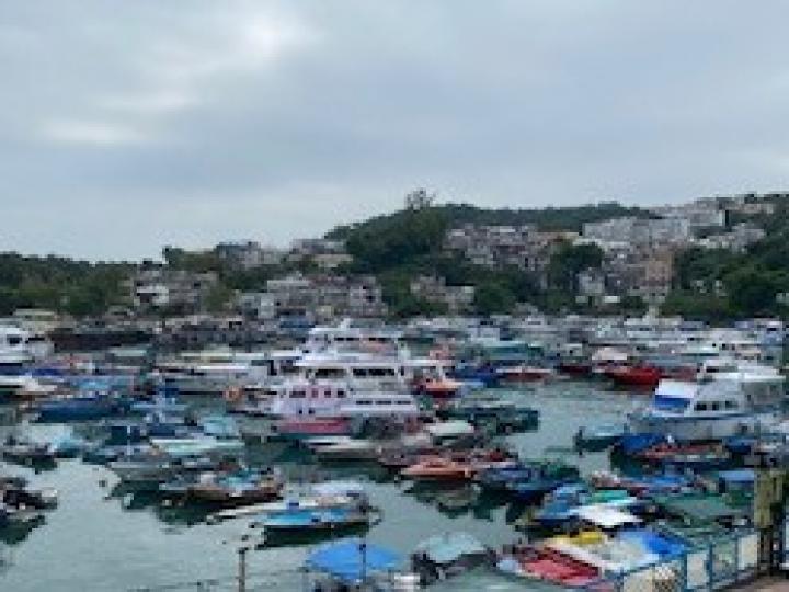 魚船雲集

西貢碼頭魚船雲集，假曰有很多海味出售。...
