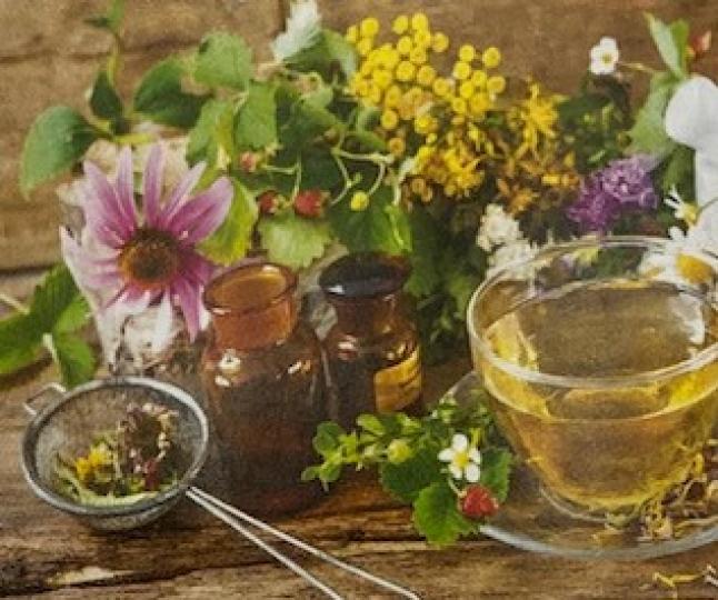 古典花療

古典花療系統是由愛德華-貝曲醫生 （Dr: Edward Bach）,所創立，他經過多年觀察、實驗和推理，在20世紀30年代重新發現花朵在調整情緒方面的療效。...