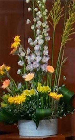 教壇花
我每星期去教會祟拜都很著迷教壇上的花，每週都不同，有時要配合節期，所選的花有特別花語。...