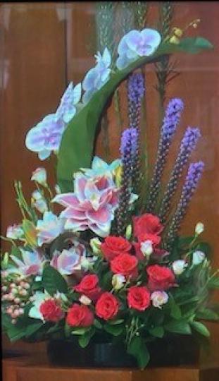 教壇擺設

這盆花最搶眼的是大朵的花，體積小的花是陪襯的。...
