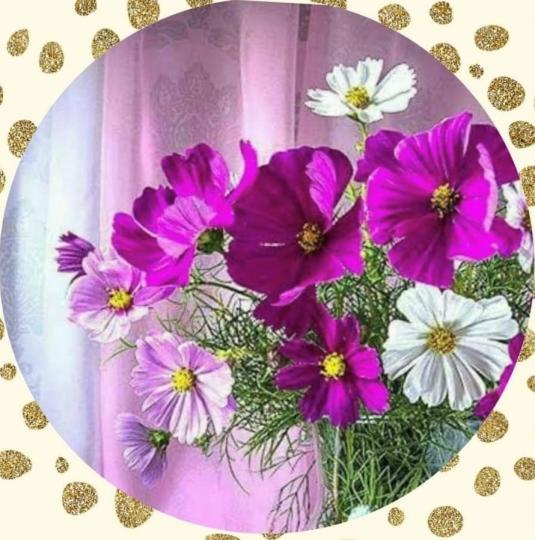 美麗的花朵
紫紅、粉紅和白色的花放在一起顏色很調和，非常好看。...