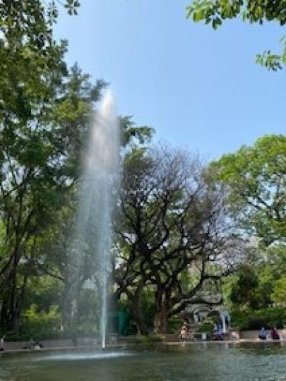 九龍公園噴水池
九龍公園的噴水池相當大，池的四邊有空間給遊人坐著欣賞噴出的水柱，感受一下涼快的感覺。...