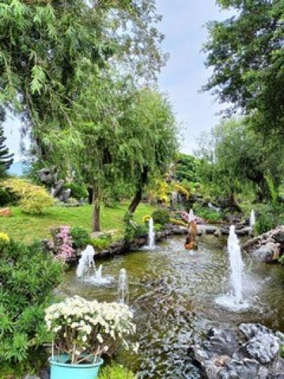 噴水池

我愛這花園不但植物打理得妥妥當當，還有噴水池，感覺環境特別優美。...