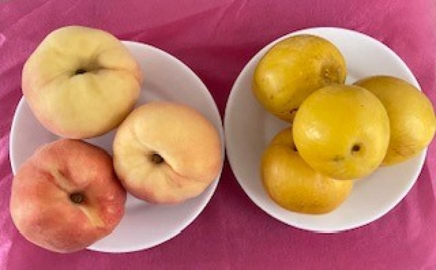 生果

今天買了水蜜桃和「綠寶石」李。水蜜桃清香甜美，「綠寶石」李是李和杏的混合品種，果皮爽脆，果肉多汁。...