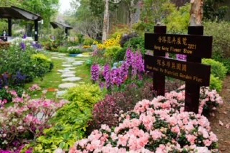 西方園圃

今年花卉展覽改了在十八區舉行。荔枝角公園以西方園圃為題展出色彩繽紛的花卉，曰期由三月二日至四月十九日....
