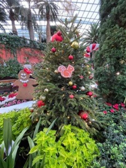 不一樣的配襯
這聖誕樹只是有紅色和金色的波波裝飾品，吸睛之處是旁邊不同深淺顏色的樹做襯托，小松鼠和薑餅人也搶鏡。...