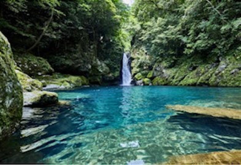 仁淀川
仁淀川是從四國深山流入太平洋的一級河川，全長124公里，在全國水質排行榜中總是表現優異，因此被譽為「日本最美的河川」。從海拔1500公尺附近的高地湧出的泉水，即使到了下游水質也幾乎沒有改變，水...