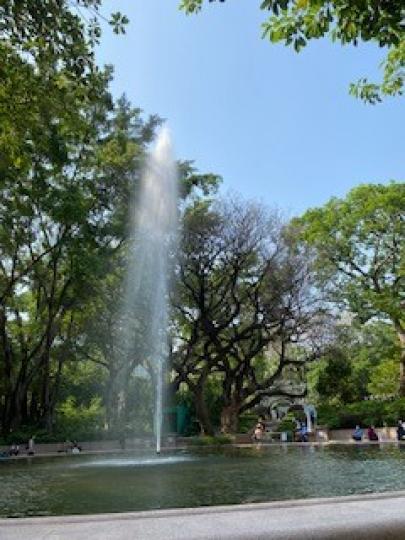 九龍公園

九龍公園交通便利，假日遊人多，能找到噴水池附近可以停下來休息一下，十分舒暢。...