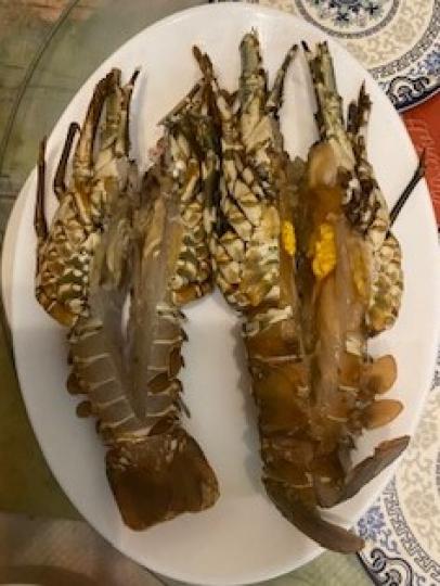 龍蝦
昨天買了兩隻體型稍細的龍蝦，然後開邊用蒜茸蒸，非常美味可口。...