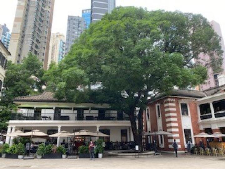 大館

大館前身是舊中區警署，現是香港一個集古蹟及藝術館於一身的建築群。...