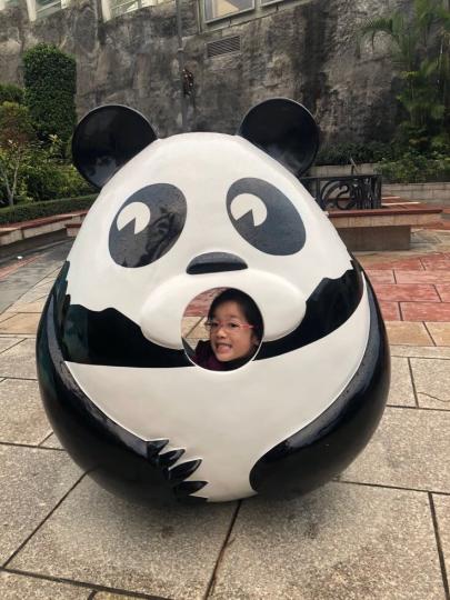 熊貓
熊貓是中國國寳，無人不愛。...