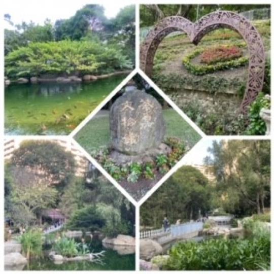 香港公園
香港公園面積頗大，有不同的園景。昨天有兩對新婚夫婦與親友拍照留念。...