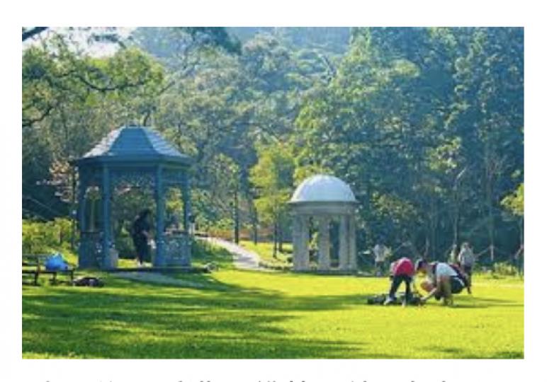 山頂公園
公園中庭為山頂公園遊覽、野餐的好去處。公園中庭設在多座維多利亞式涼亭，包括花圃中心一座；中庭連著一處名為「永結同株林」的花園，在2017年6月30日命名，當時有35對新婚夫婦在園中種下樹木。...
