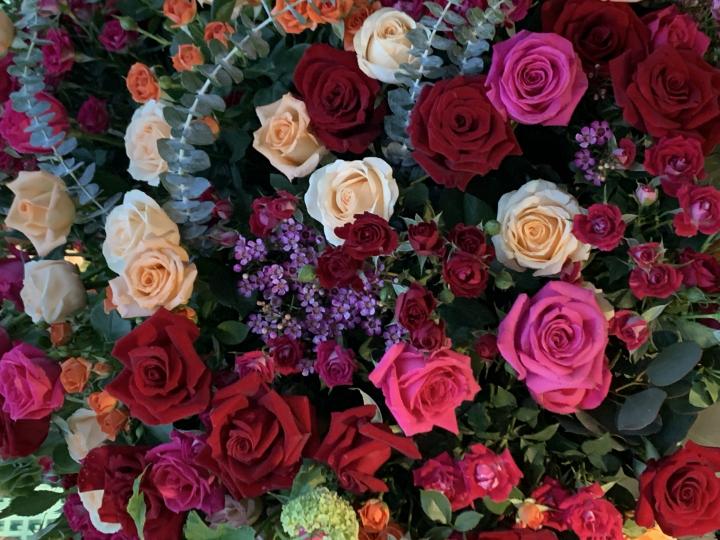 紅玫瑰

玫瑰花不同顏色有不同花語，我獨愛代表熱愛着你的紅玫瑰。...
