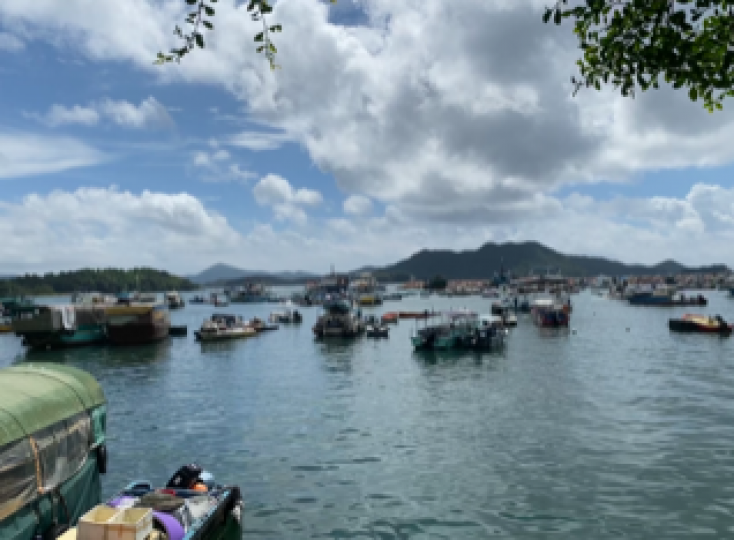 西貢
西貢環境適合水上活動，所以假日遊人多，在碼頭附近大大小小的魚船也很多，場面熱鬧。...