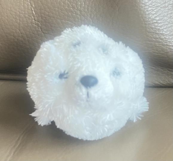 小海獅
海獅十分聰明,常被訓練頂球和擊掌等特技,小朋友在海洋公園看過海獅的表演,都買一隻小海獅作紀錄,希望在學習方面如海獅般聰明。... 小海獅
海獅十分聰明,常被訓練頂球和擊掌等特技,小朋友在海洋公園看過海獅的表演,都買一隻小海獅作紀錄,希望在學習方面如海獅般聰明。...