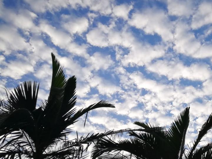 魚鱗雲
魚鱗雲一般是快要下雨的跡象，很多人都會覺得魚鱗雲很漂亮，可是之後會下雨，是會下雨的預兆。...