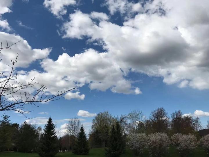 加國的天空

多倫多的疫症有反彈，但在家中後園可以欣賞到藍天白雲和享受清新空氣。...