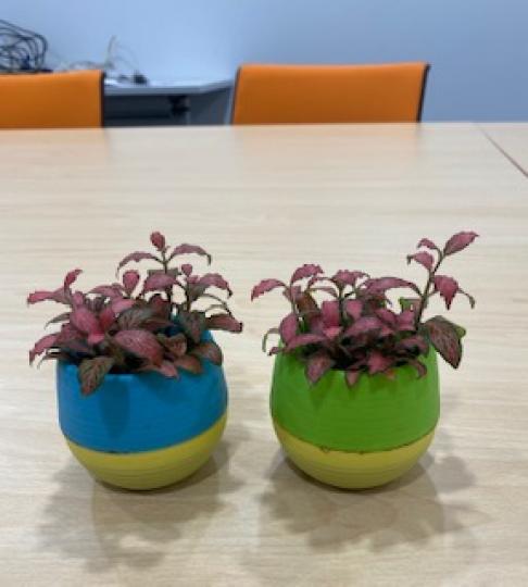 辦公室內放置小盆栽不但可以美化環境，還可以有養眼和提供氧氣的功用。...