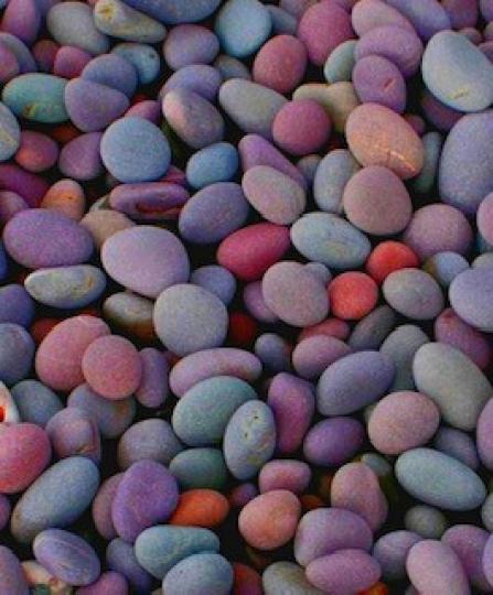 美麗的小石
這些美麗的小石遠看似朱古力豆，十分有趣。...