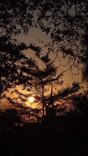 日落
太陽快將西下，透過樹梢還可見到紅紅的太陽。...