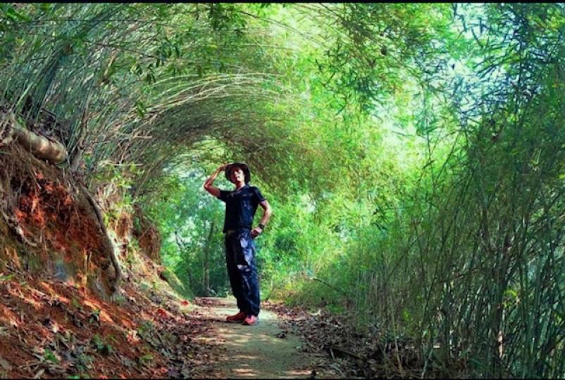 馬鞍山茅坪

馬鞍山茅坪北港古道竹林的高竹長得夠彎，在密林小徑上形成弧形拱頂，真的如隧道似的，十分美麗。...