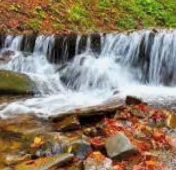 貴州赤水市
赤水是中國丹霞世界自然遺產地，其中核心景區是赤水大瀑佈景區。瀑布懸掛在紅色丹霞懸崖上，非常壯觀。...