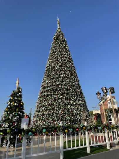 早安！西九海濱長廊的巨型聖誕樹...