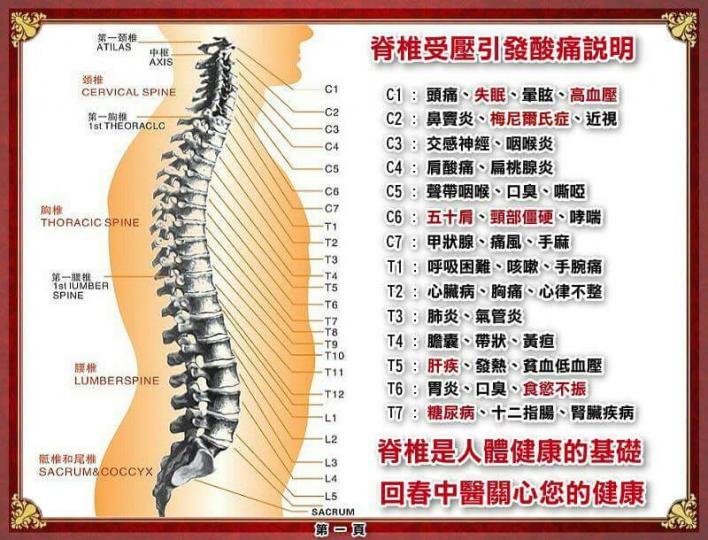 脊椎受壓引發酸痛說明！...