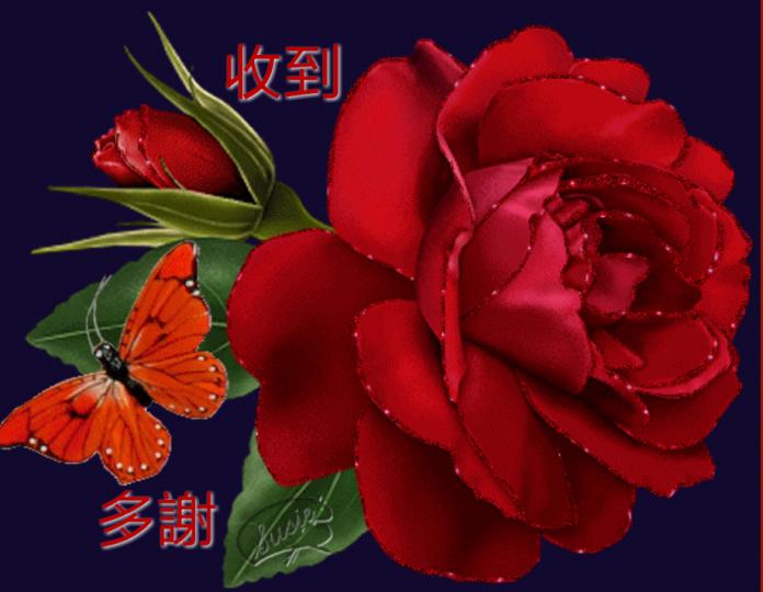 美麗的玫瑰花，人人都愛它。新年花開富貴好兆頭！...