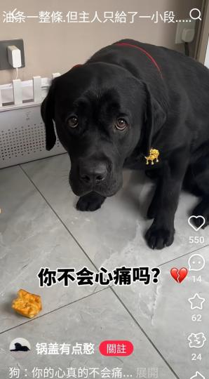 油条一整條但主人只给了一小段...