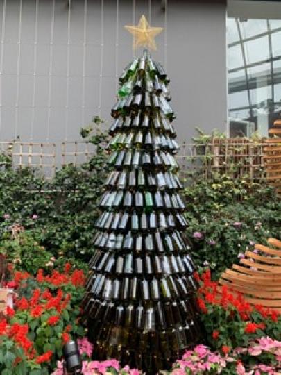 學習環保
這棵聖誕樹不單止美麗，材料還很環保，樹上全是綠色的啤酒玻璃樽。...