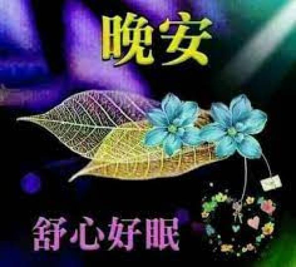 晚安,2021年最後一個晚上很快就過去了,大家舒心好眠,張開眼精以是2022年,新的一年以開始,祝福大家身體健康,事事順心如意!... 晚安,2021年最後一個晚上很快就過去了,大家舒心好眠,張開眼精以是2022年,新的一年以開始,祝福大家身體健康,事事順心如意!...