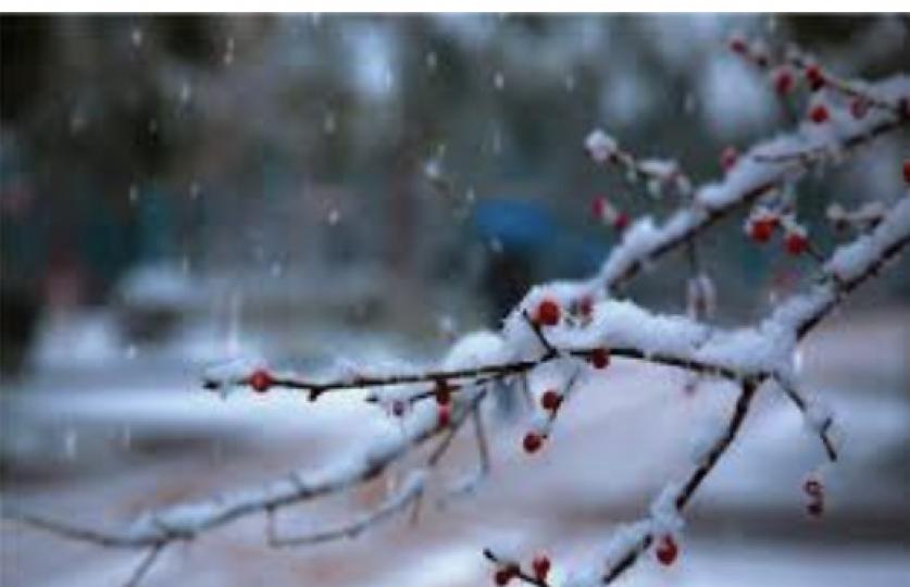 節氣的學習
今天是「小雪」節氣，是冬季的第二個節氣，標誌著冬天的來臨。「小雪」的具體含義有兩層：首先，「小雪」是用來表明降雪的起始時間和程度的；其次，「小雪」同雨水、穀雨等節氣一樣，都有一個功能，都是...