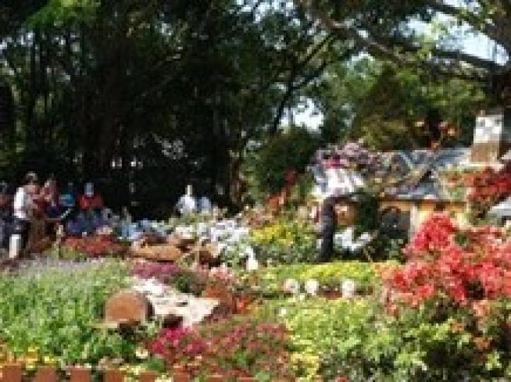 大埔海濱公園

近日大埔海濱公園非常熱閙，原因是此公園是2021 年新界區園圃花卉展場地之一。...