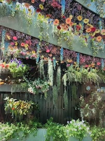 花牆
這牆壁以花和草作裝飾，優雅自然，香氣清溢怡人！...