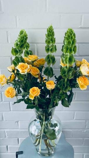 黃玫瑰
黃玫瑰對於友情，代表純潔的友誼和美好的祝福。...