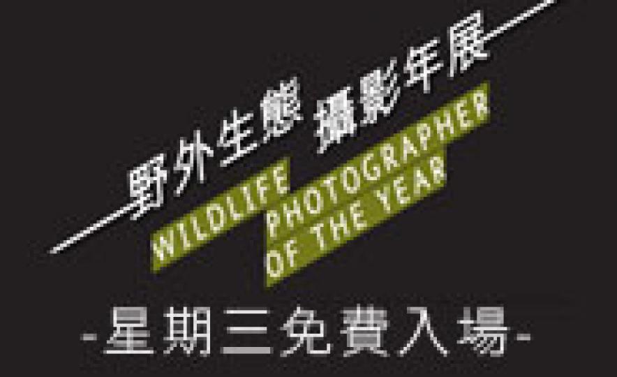 20130822_Wildlife(185).jpg 20130822_Wildlife(185).jpg