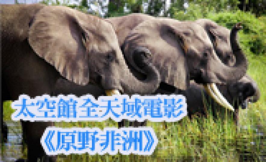 20170517_wildafrica(185).jpg 20170517_wildafrica(185).jpg